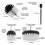 Electric Carpet Brush Drill Kit All Purpose Cleane 5