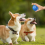 Bola de brinquedo eletrônico para cachorro com movimento inteligente e salto automático 6