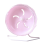 D Hamster Sport Running Wheel Rat Small Mouse Silen 5