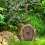 Feentür für den Außenbereich, Miniatur-Gartenzwerg 5
