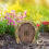 Feentür für den Außenbereich, Miniatur-Gartenzwerg 6