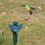 Solar Powered Flying Bird, or Battery Realistic Bi 3