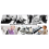 Multicolor Piano Keyboard Stickers, Bold Letter Ve 7