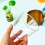 Σετ μπολ επιδόρπιο από διαφανές γυαλί, ανθεκτικό στη θερμότητα ζελέ 5