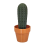 Θήκη οδοντογλυφίδας Cactus με τρισδιάστατη εκτύπωση για H 3