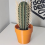 Θήκη οδοντογλυφίδας Cactus με τρισδιάστατη εκτύπωση για H 7
