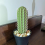 Θήκη οδοντογλυφίδας Cactus με τρισδιάστατη εκτύπωση για H 8