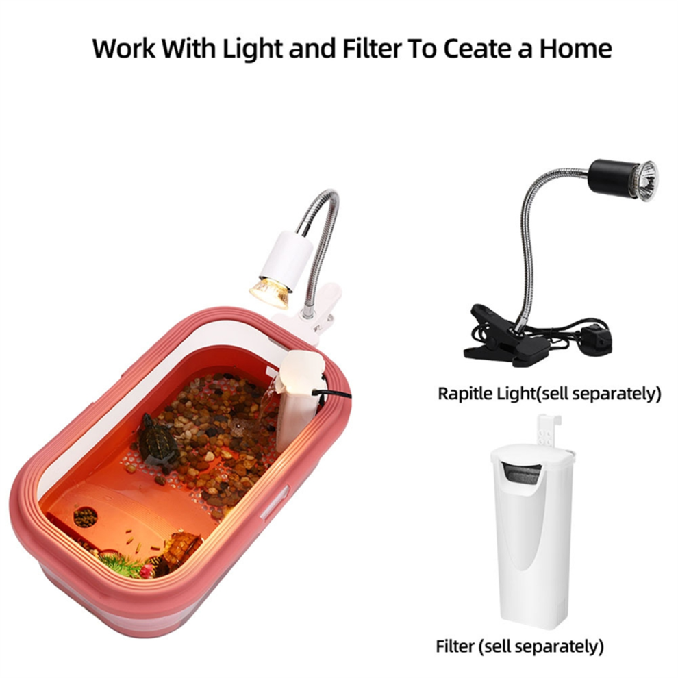 Acquario Per Tartarughe Per Uso Domestico Con Mix Di Pesci Sun Terrace