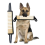 Interactief trekspeelgoed voor honden, robuust trainingsspeelgoed, T 4