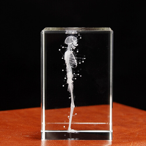 3D Laser Engraved Human Skeletal Crystal Cube Figu 2