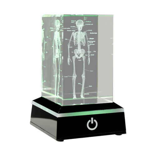3D Laser Engraved Human Skeletal Crystal Cube Figu