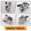La valvola elettromagnetica per il solenoide Accord Vtec 10