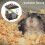 Gaiola para hamsters com claraboia transparente 4