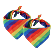 2 pièces Bandana arc-en-ciel Accessoire Déguisement Headba