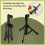 Mini Tabletop Tripod Microphone Mic Stand Holder w 8