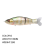 Slow Floating Bait Swimming Joint Swing Lure Bioni 3