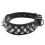 Leather Spiked Studded Dog Collar 1 inch Wide for 6