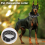 Leather Spiked Studded Dog Collar 1 inch Wide for 7