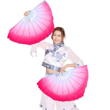 1 Pair Plastic Taichi Kungfu Dancing Martial Arts Sports Folding Hand Fan 13 Inch Ref:qFq