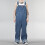 Dickies Dickies he 5