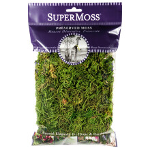 SuperMoss (25320) Waldmoos, konserviert, frisch, gr n, 56 g