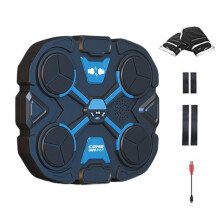 Wallmounted boxing trainer for home gym punching power training