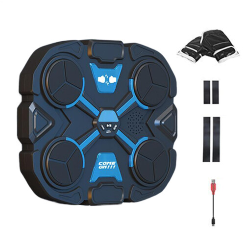 Wallmounted boxing trainer for home gym  punching power training