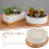 White Modern Succulent Pot Indoor Planter with Tray 16.4X16.4X5.7CM 4