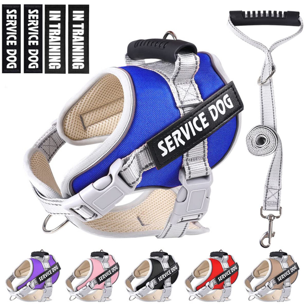 Service Dog Vest,No Pull in Training Service Dog Harness and 5FT Dog Leash Set