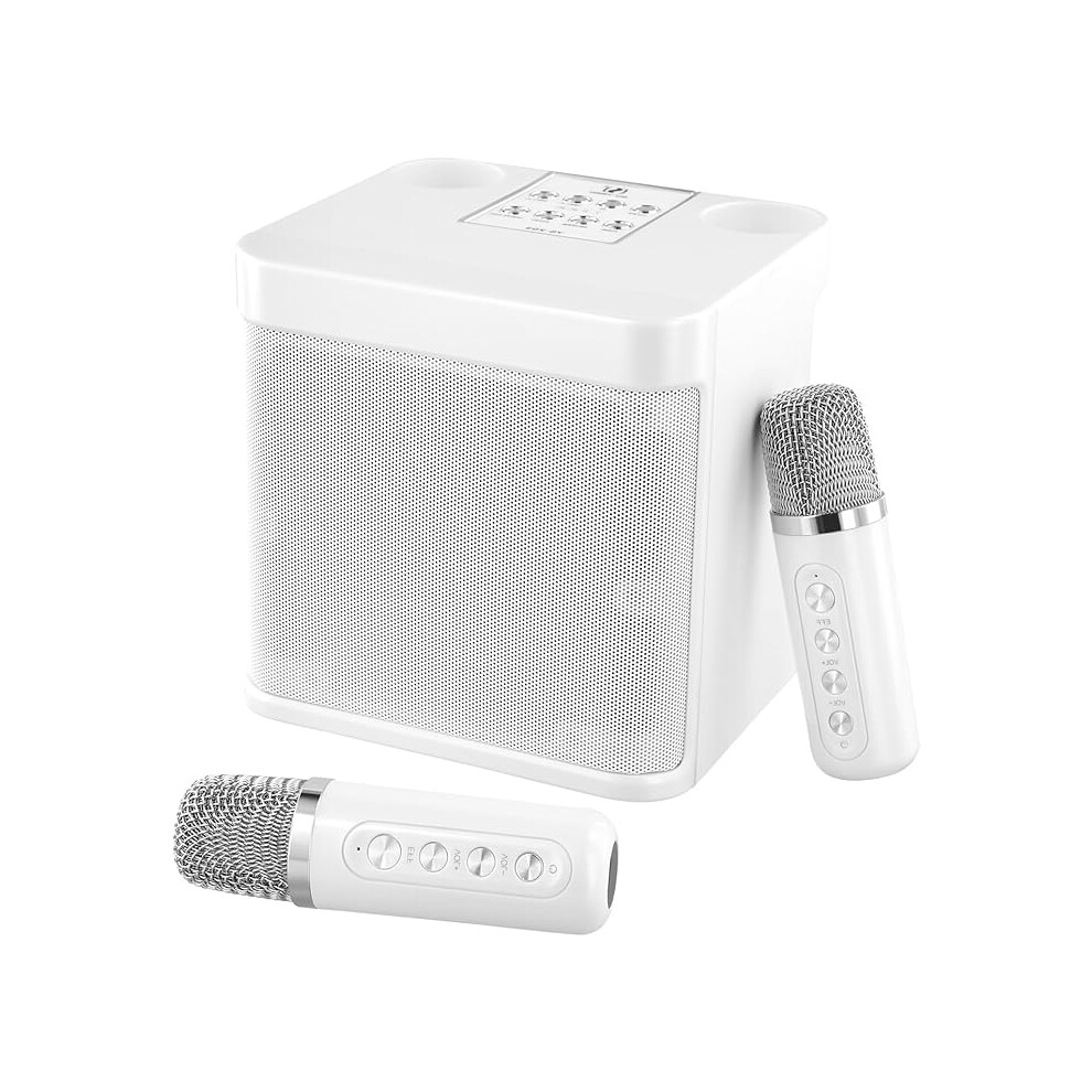 Jalann Karaoke Machine, Portable Karaoke Machine with 2 Wireless Microphones for Adults & Kids, Wireless PA System with Voice Changing Effects