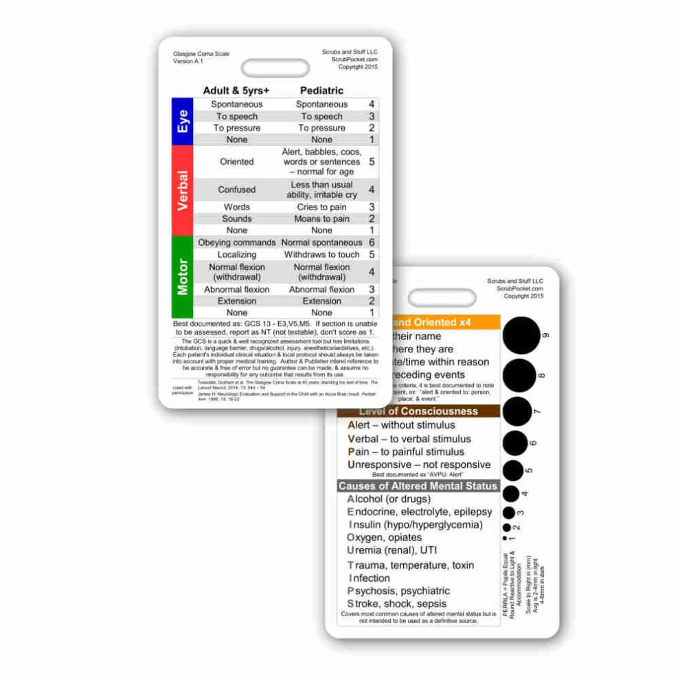 Scrubs And Stuff Llc Glasgow Coma Scale (Gcs) Vertical Reference Badge Id Card (1 Card)
