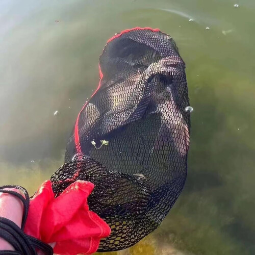 Fishing fillet bag, Slider nylon 1