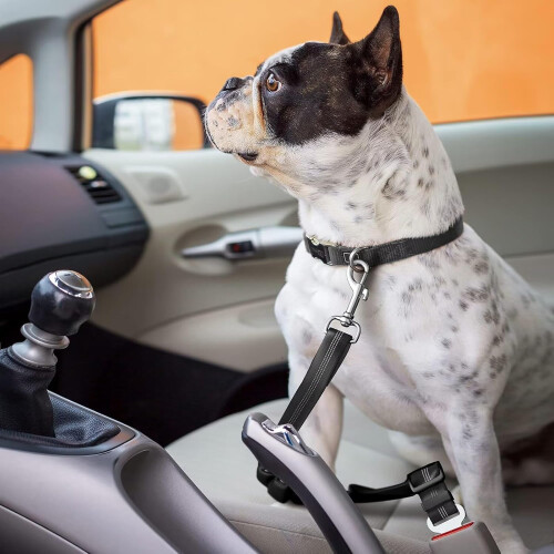 PawSafe Dog Seatbelt 2