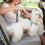 PawSafe Dog Seatbelt 5