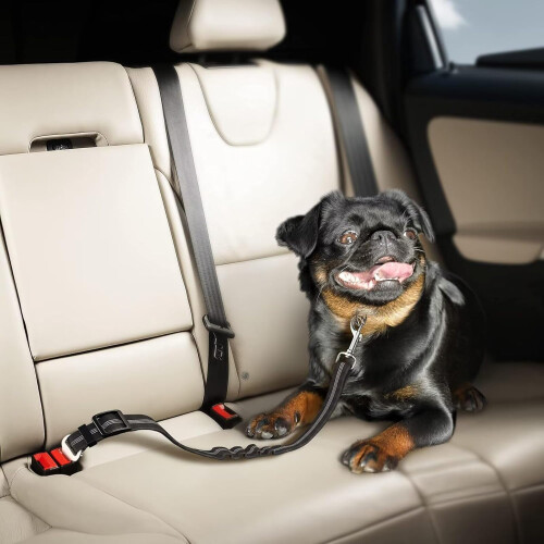 PawSafe Dog Seatbelt 1