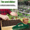 Manual Seedlings Dibber, Multifunctional Seeds, Spacer, Garden Tools 2