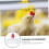 20St Chicken accessories rabbit drinker water dispenser for chickens automatic 5
