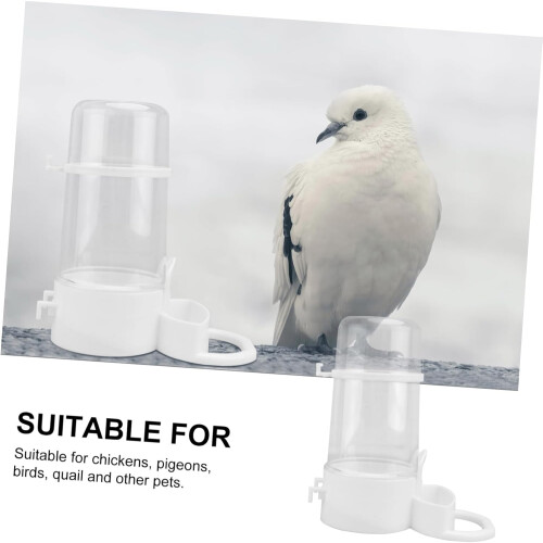automatic poultry feeder with drinking fountain for birds, splash and leak proof 1