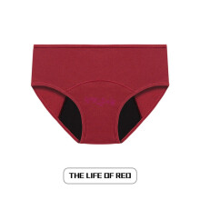 (2# Wine Red Breathable Stretch Waterproof Knickers, S) Ladies Menstrual Panties Leak Proof Underwear Period Brief Physiological Pant
