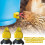 Poultry Horizontal Water Nipple Drinker, 2.36 inches, Leakproof Chicken Waterer System 3
