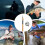 Fishing rod and reel combination 3