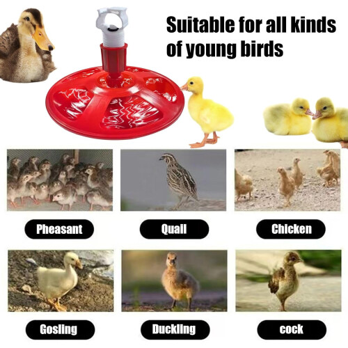 Automatic Chicken Drinker, Feeder, Poultry Drinker Set, Water Dispenser Ref: 3085 1