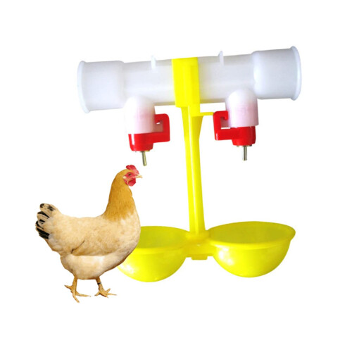 10St automatic drinking fountain poultry drinker drinking trough bird bath water bowl