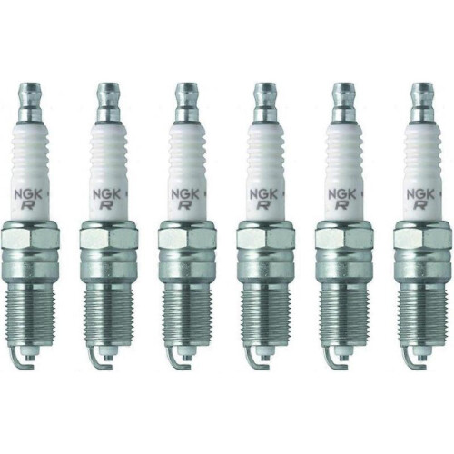3951 Spark Plugs TR55 6 Pack