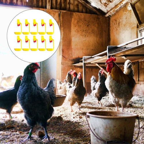 10 pieces chick drinker integrated automatic chicken drinker chick drinking fountain for large and chickens random color 2