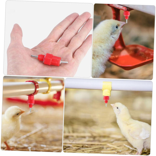 Professional Drinker For Chickens And Poultry Accessories 1