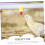 Automatic Chicken Water Drinker with Nipples for Poultry Farm 5