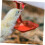 Automatic Chicken Water Drinker with Nipples for Poultry Farm 4