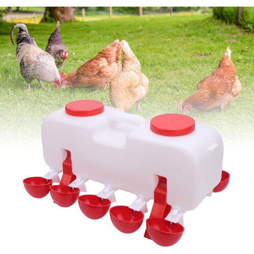 Automatic chicken drinker, Stable base, Large capacity, Selffilling poultry drinker 2