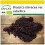 SAFLAX Anzucht Set - Grünkohl - Roter - Brassica - 50 Samen 1